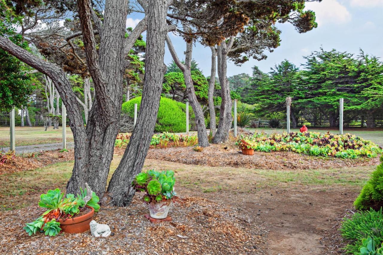 Sunset Point Villa Fort Bragg Dış mekan fotoğraf